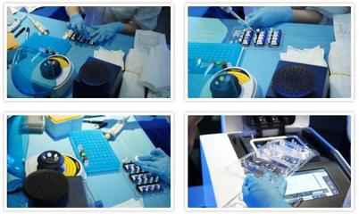 深蓝云Gene-π数字PCR学堂: 先进治疗中核酸绝对定量分析及应用(上海张江站)圆满落幕!